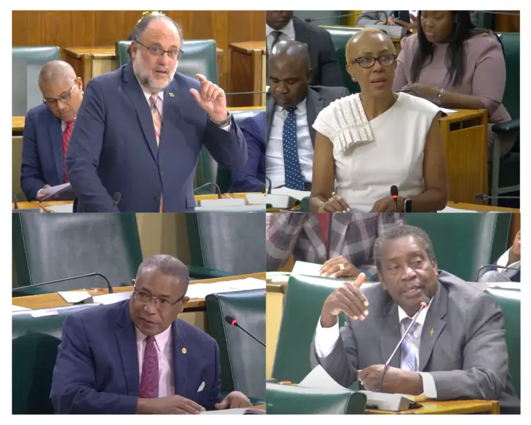 Sitting House of Representatives Feb 18 2025
