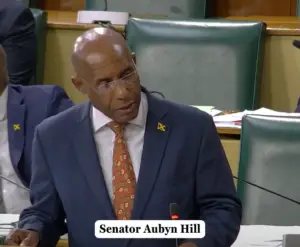 Senator Aubyn Hill speaking in the senate