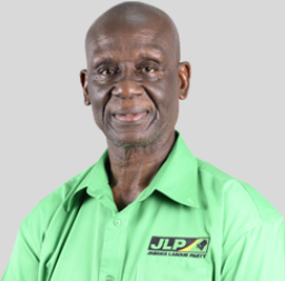 Desmond McKenzie: Member of Parliament for Kingston Western