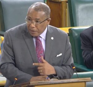 Anthony Hylton, Parliament, Sectorial Debate 2025