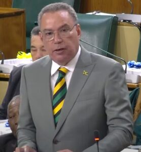 Daryl Vaz speaking in the sectoral debate May 20, 2025