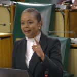 Marlene Malahoo Forte Sitting of the House of Representatives , Sectoral Debate, April 29, 2025, Parliament