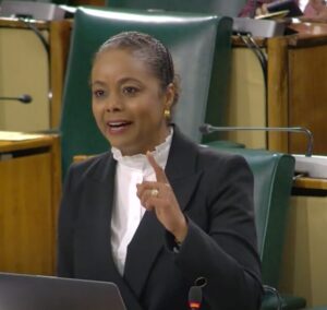 Marlene Malahoo Forte Sitting of the House of Representatives , Sectoral Debate, April 29, 2025, Parliament
